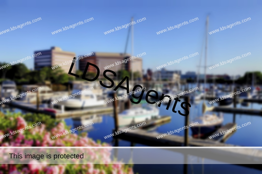 Realtors In Stamford Ct
